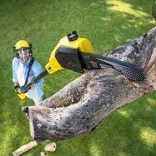 Best Lawn Watering Services  in Spring Park, MN